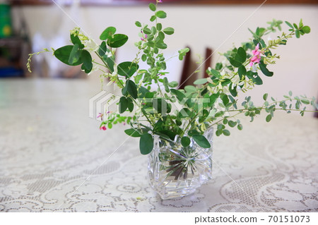 Autumn flower Shirahagi 70151073