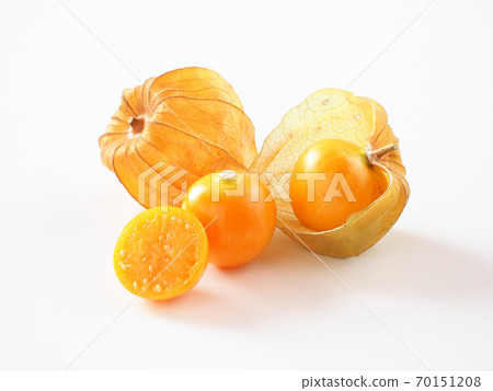 在白色背景上的食用Hozuki 70151208