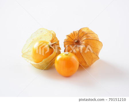 Edible physalis on a white background Edible physalis on a white background 70151210