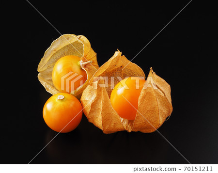 Edible physalis on a white background Edible physalis on a white background 70151211