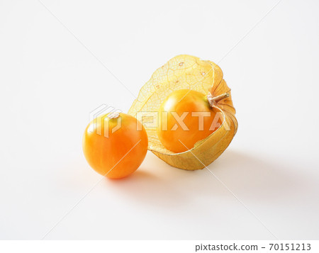 在白色背景上的食用Hozuki 70151213