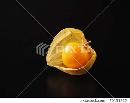 黑色背景上的食用Hozuki 黑色背景上的食用Hozuki 70151215