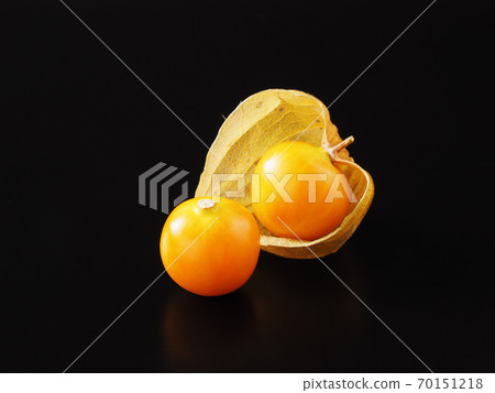 黑色背景上的食用Hozuki 70151218