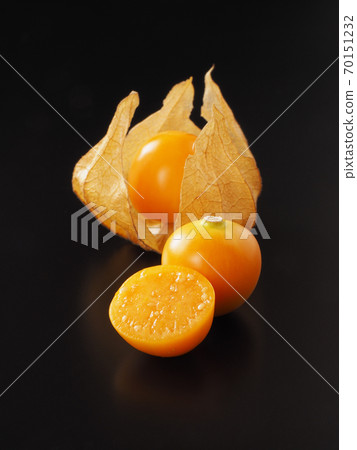 黑色背景上的食用Hozuki 70151232