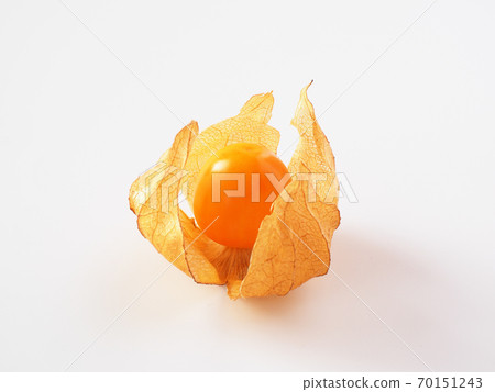 Edible physalis on a white background 70151243