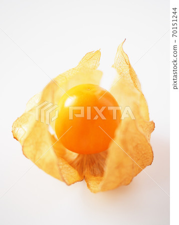 在白色背景上的食用Hozuki 70151244