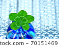 五葉三葉草 70151469