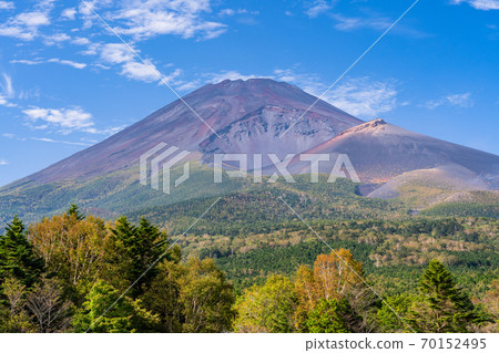 (Shizuoka Prefecture) Mt. Fuji seen from Mizugatsuka Park where the autumn leaves have begun 70152495
