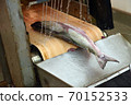 Fresh salmon on the production line in the fishing processing plant 70152533