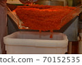 Preparing salmon caviar in the fishing processing plant 70152535