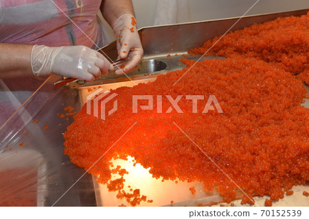 Preparing salmon caviar in the fishing processing plant Preparing salmon caviar in the fishing processing plant 70152539