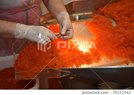 Preparing salmon caviar in the fishing processing plant Preparing salmon caviar in the fishing processing plant 70152542