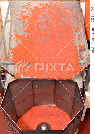 Preparing of salmon caviar in the fishing processing plant Preparing of salmon caviar in the fishing processing plant 70152546