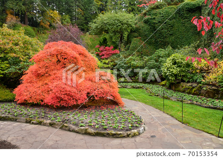 秋色的花園小巷維多利亞不列顛哥倫比亞省加拿大加拿大 70153354