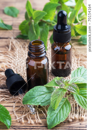 Fragrant mint essential oil in dark glass bubbles, aromatherapy oil natural organic cosmetic on rustic wood background. Fragrant mint essential oil in dark glass bubbles, aromatherapy oil natural organic cosmetic on rustic wood background. 70154164