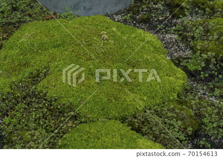 Seoullo, Jung-gu, Seoul 70154613