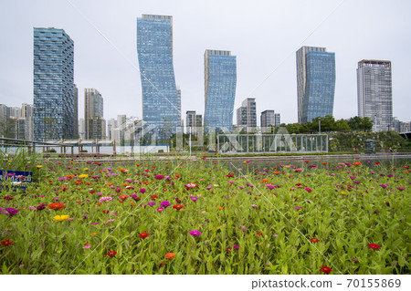 Central Park, Songdo, Yeonsu-gu, Incheon Central Park, Songdo, Yeonsu-gu, Incheon 70155869