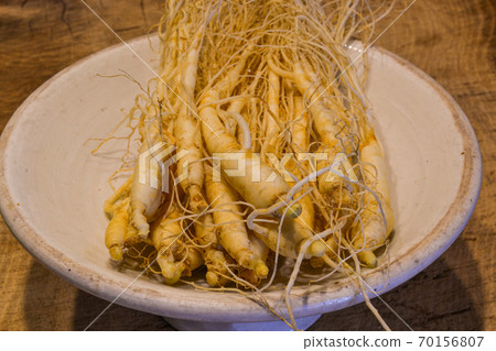 Freshly picked ginseng is rich in medicinal properties 70156807