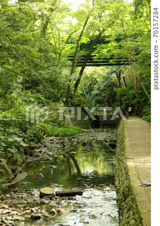  Todoroki山谷 70157284