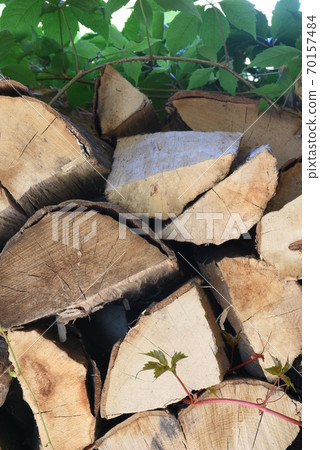 Stack of wood for a fireplace, overgrown with green ivy 70157484