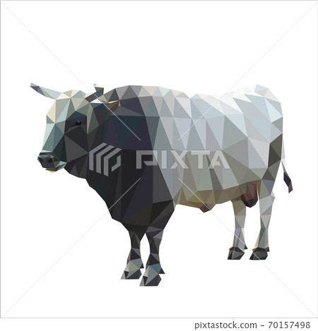 full-length image of a bull. Vector, polygonal full-length image of a bull. Vector, polygonal 70157498