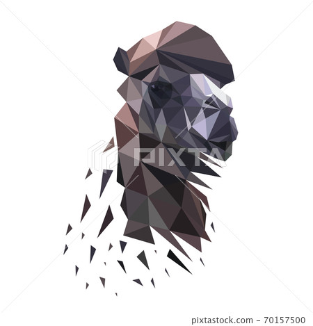 Image of a camel's head. Vector illustration polygon 70157500