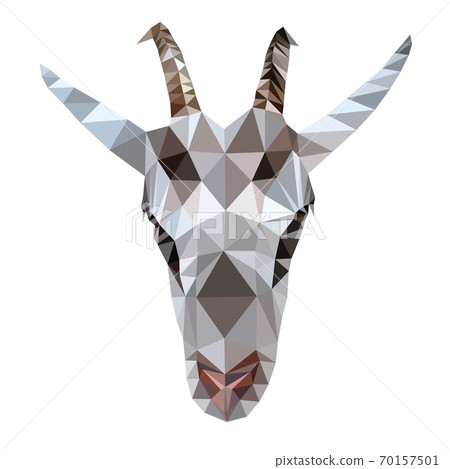 Image of a goat's head. Vector illustration polygon Image of a goat's head. Vector illustration polygon 70157501