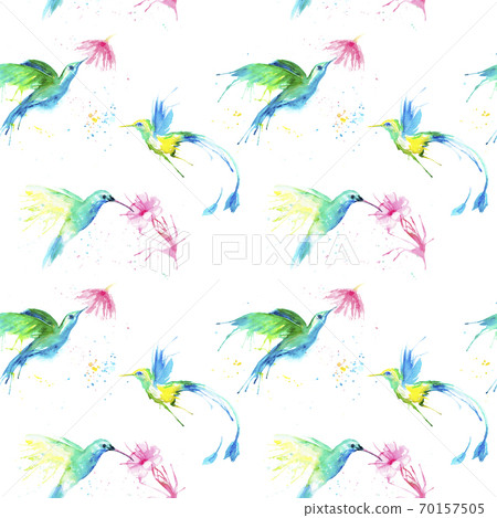 watercolor drawing of a bird - a hummingbirds seamless pattern watercolor drawing of a bird - a hummingbirds seamless pattern 70157505