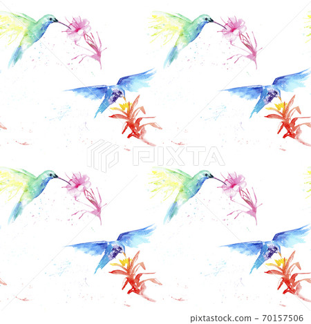 watercolor drawing of a bird - a hummingbirds seamless pattern watercolor drawing of a bird - a hummingbirds seamless pattern 70157506