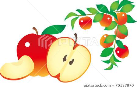 林戈和樹枝和樹葉的層次 70157970