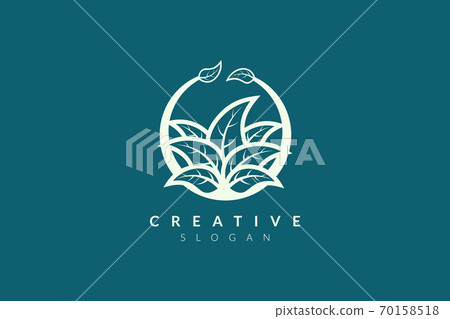 Vector design leaf various abstract shape.... - Stock Illustration ...
