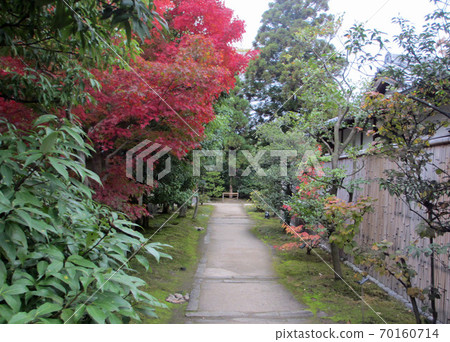 Kokoen, autumn leaves 14 70160714