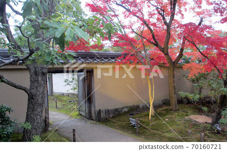 Kokoen, autumn leaves 12 70160721