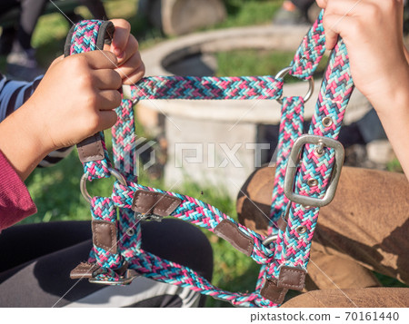 Competition for the setting of a horse halter Competition for the setting of a horse halter 70161440