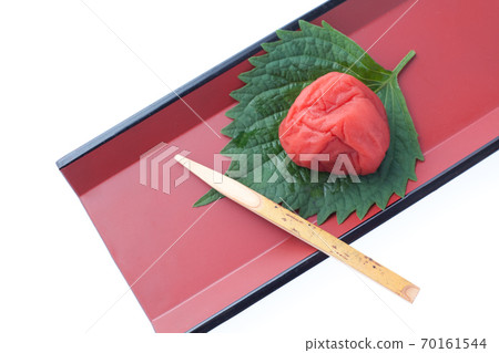 幹李子南子李子 幹李子南子李子 70161544