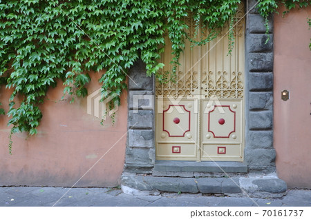 Door in old Italian house with ivy on the wall 70161737