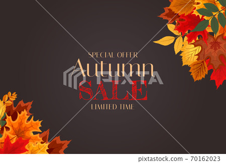 Autumn Background Template with leaves. Special offer. Limited Time. Vector Illustration Autumn Background Template with leaves. Special offer. Limited Time. Vector Illustration 70162023