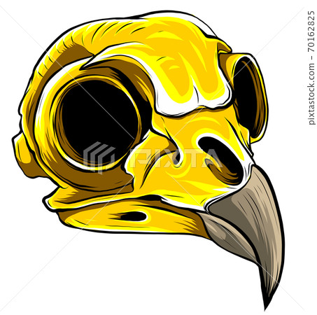 gold eagle skull on white background. vector illustration 70162825