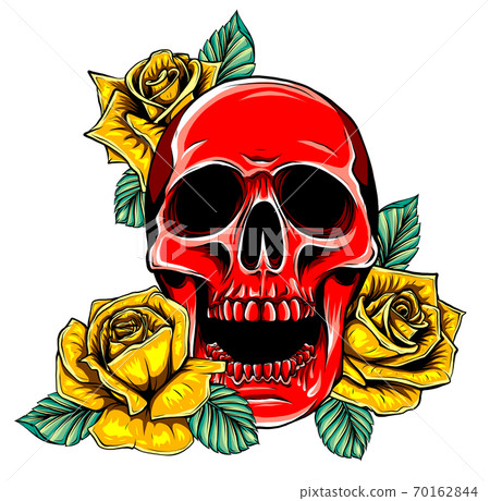 skull with roses vector illustration graphics art skull with roses vector illustration graphics art 70162844