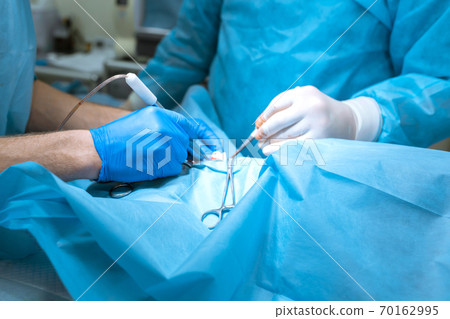 A surgeon veterinarian operates a dog in the operating room with an assistant. The medical team performs the sterilization operation. Gloved hands hold surgical instrument close up. Tinted in blue A surgeon veterinarian operates a dog in the operating room with an assistant. The medical team performs the sterilization operation. Gloved hands hold surgical instrument close up. Tinted in blue 70162995