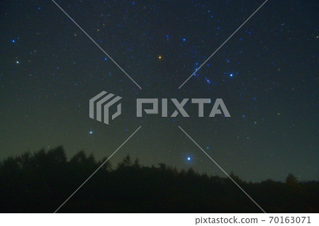 Orion on a larch forest in Minamimaki Village, Nagano Prefecture and the Winter Triangle 70163071