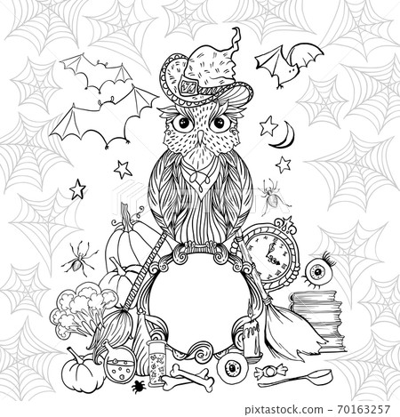 Halloween coloring page with owl in hat. Witch tools and spider web for Halloween Holiday. 70163257