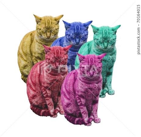 a five multi-colored funny sleeping cats on white 70164015