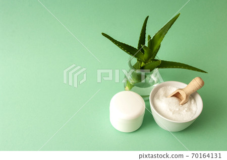Aloe vera in glass jar, cream box, salt scrub in ceramic bowl 70164131