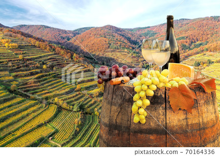 White wine with barrel on famous vineyards during autumn in Wachau, Austria 70164336