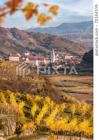 Duernstein village with castle against colorful vineyards during autumn in Wachau, Austria Duernstein village with castle against colorful vineyards during autumn in Wachau, Austria 70164339