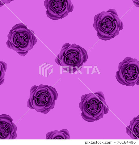 seamless pattern of purple roses - Stock Illustration [70164490] - PIXTA