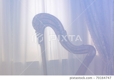 a romantic beautiful harp toned photo, soft focus a romantic beautiful harp toned photo, soft focus 70164747