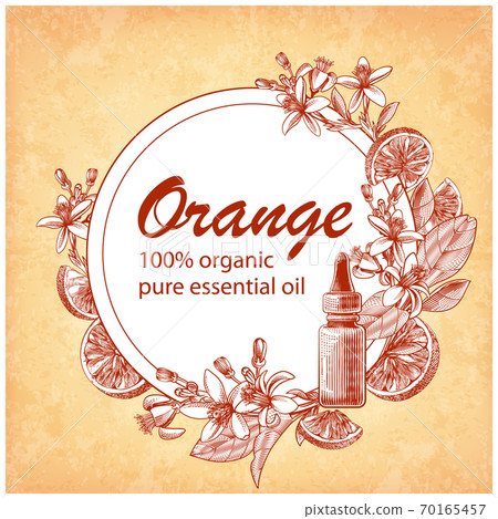 Engraved essential oil with orange fruits, leaves, flowers 70165457