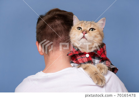 young man with british tabby cat isolated on blue background. young man with british tabby cat isolated on blue background. 70165478